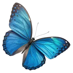 Imagen PNG para descargar